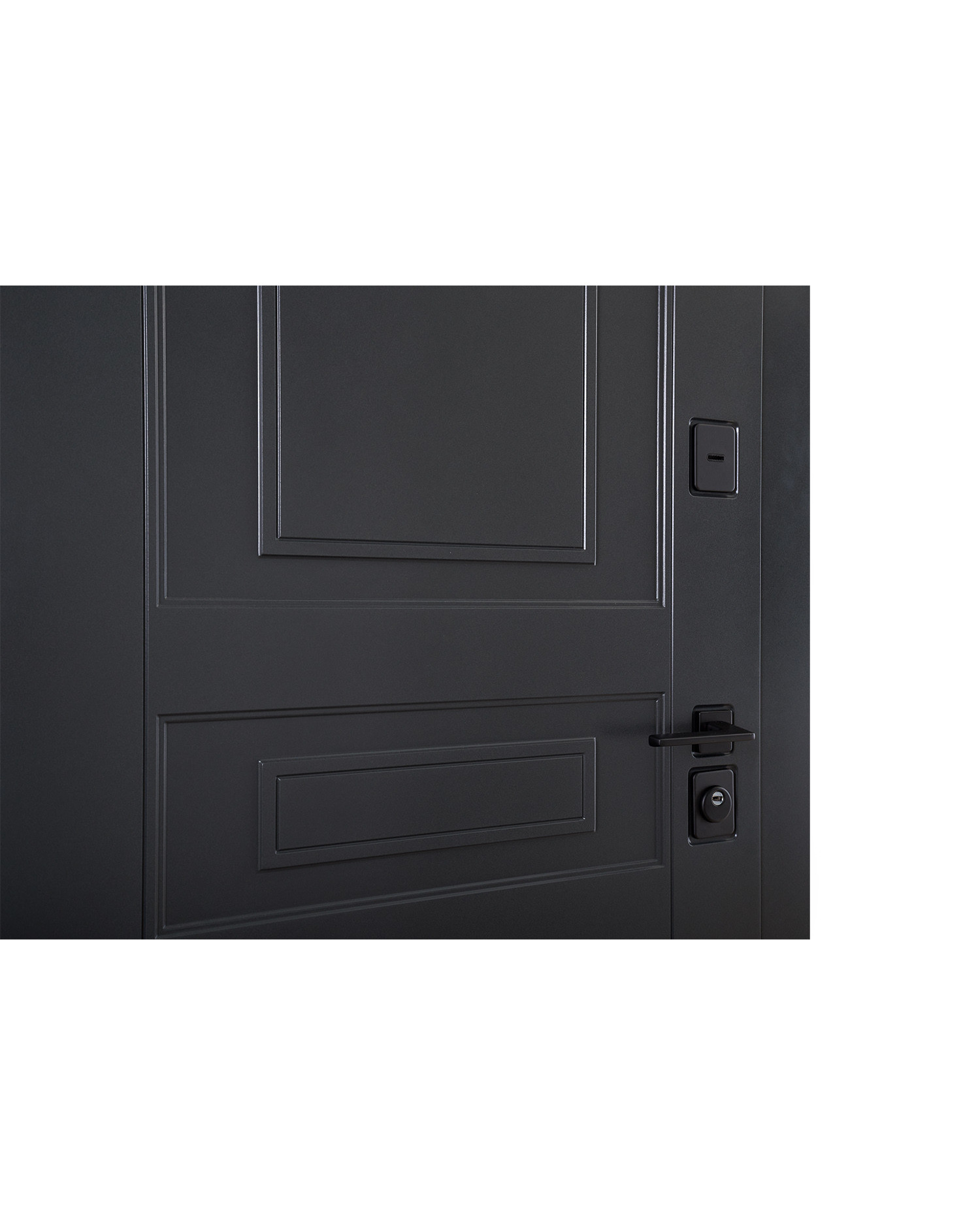 Двері вхідні Abwehr Scandi RAL 7021 - Зображення 6
