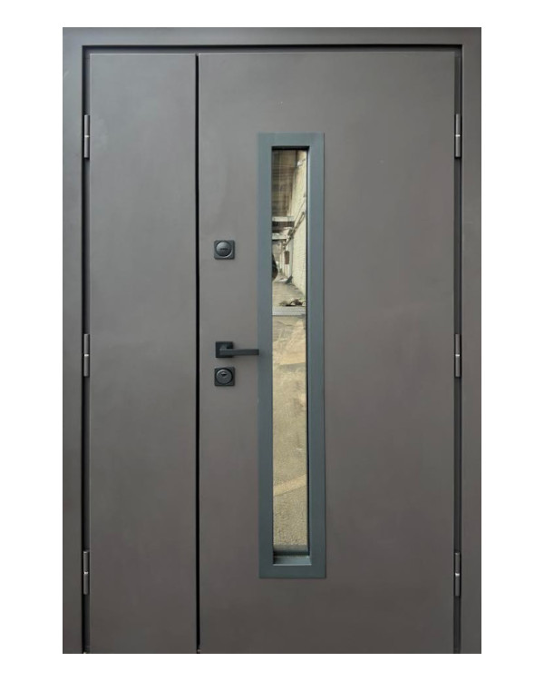 Двері вхідні Qdoors Стронг Браун 1200 Ral 8019