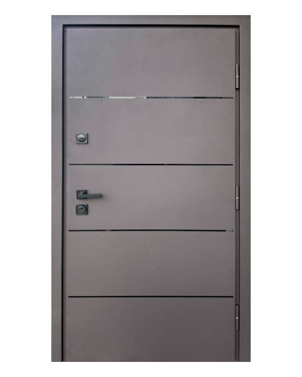 Двері вхідні Qdoors Стронг Купер Ral 8019