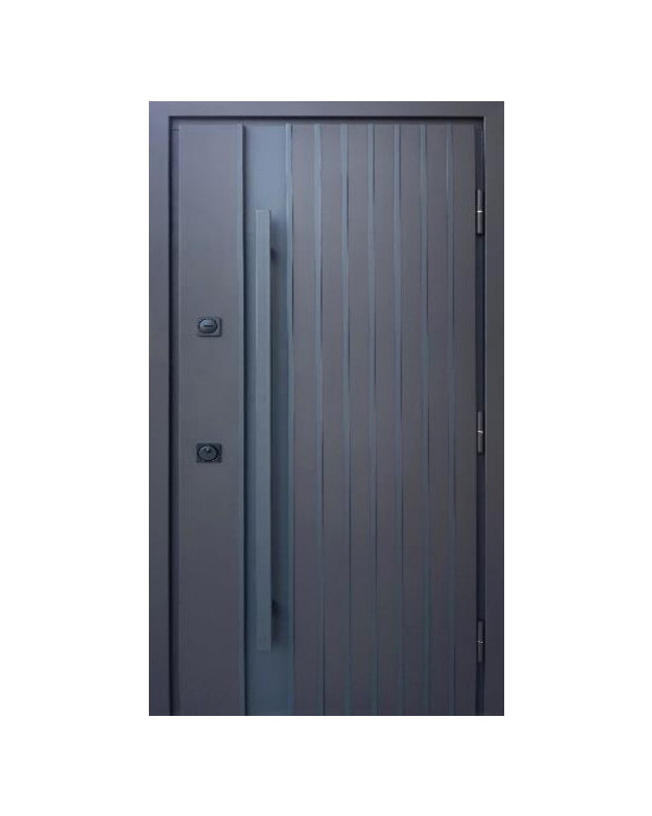 Двері вхідні Qdoors Стронг Айрон Ral 8019